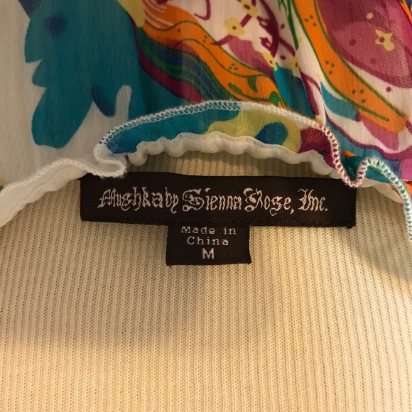 *Host Pick* Mushka by Sienna Rose, Inc. Sheer Top - Picture 4 of 5